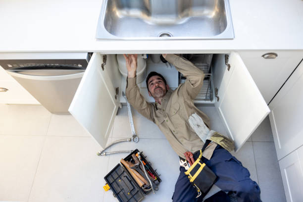 Best Plumbing Inspection Services  in Minier, IL