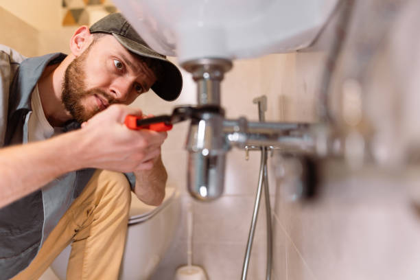 Best Affordable Plumbing Services  in Minier, IL